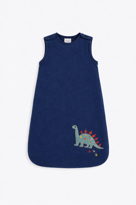 Dino Adventure Newborn Sleeping Bag